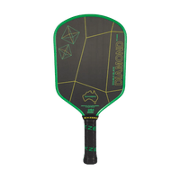 Double Black Diamond Control - Unlimited Pickleball Zone