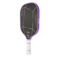Quartz - Unlimited Pickleball Zone